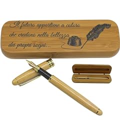 Penne Stilografiche Strane usato in Italia