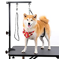 Breeze touch dog for sale  Delivered anywhere in USA 