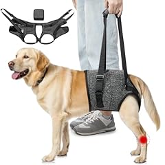 Eyein adjustable dog for sale  Delivered anywhere in UK