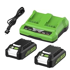 Energup 2pack replacement for sale  Delivered anywhere in USA 