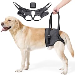 Pawivid verstellbares hundeges gebraucht kaufen  Wird an jeden Ort in Deutschland