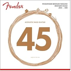 Fender 7060 akustikbass gebraucht kaufen  Wird an jeden Ort in Deutschland