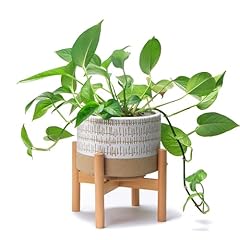 Plant pot stand for sale  Delivered anywhere in USA 