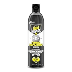 Raid max foaming for sale  Delivered anywhere in USA 