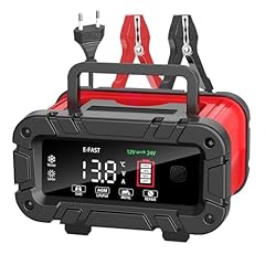 Yifasite 20a autobatterie gebraucht kaufen  Wird an jeden Ort in Deutschland