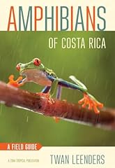 Amphibians costa rica usato  Spedito ovunque in Italia 