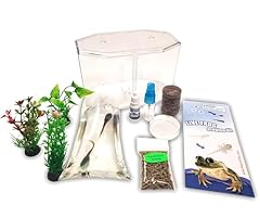 Tadpole frog starter for sale  Delivered anywhere in USA 