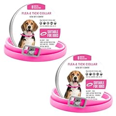 Bkepdy hundehalsband hunde gebraucht kaufen  Wird an jeden Ort in Deutschland