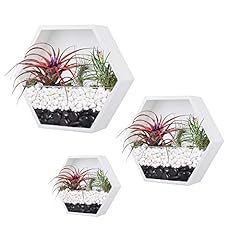 Ecosides hexagon wall for sale  Delivered anywhere in USA 