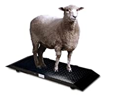 SellEton SL-920 Portable Scale for Livestock, Animal, used for sale  Delivered anywhere in USA 