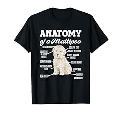 Maltipoo anatomy maltipoo for sale  Delivered anywhere in USA 
