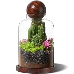 Yangbaga large glass for sale  Delivered anywhere in USA 