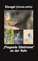 Eisvogel fliegende edelsteine gebraucht kaufen  Wird an jeden Ort in Deutschland