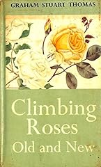 Climbing roses old for sale  Delivered anywhere in UK