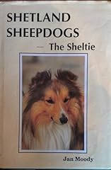 Shetland sheepdogs sheltie for sale  Delivered anywhere in UK