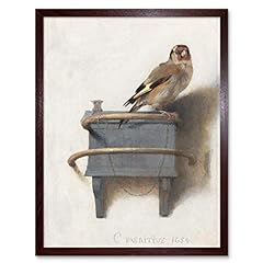 Fabritius goldfinch bird for sale  Delivered anywhere in USA 