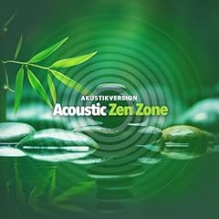 Acoustic zen zone d'occasion  Livré partout en France