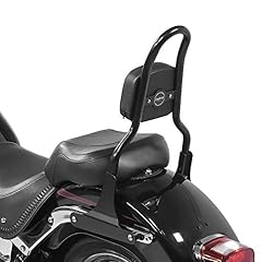 Sissy bar csm gebraucht kaufen  Wird an jeden Ort in Deutschland