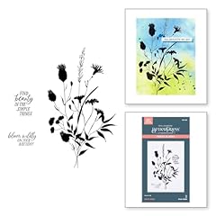 Spellbinders bloom wildly for sale  Delivered anywhere in UK