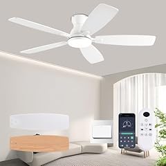 Nkpu 52inch ceiling for sale  Delivered anywhere in USA 