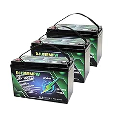 Djlbermpw lifepo4 battery for sale  Delivered anywhere in USA 