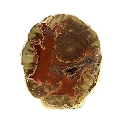 Lithophyse 87.5 carats d'occasion  Livré partout en Belgiqu