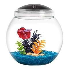 Koller products gallon for sale  Delivered anywhere in USA 