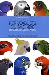 Perroquets d'occasion  Livré partout en France