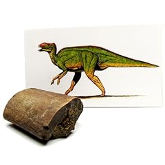 Bicbugs hadrosaur dinosaur for sale  Delivered anywhere in USA 