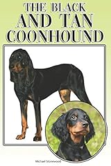 Black tan coonhound for sale  Delivered anywhere in UK