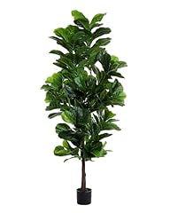Floworld fiddle leaf for sale  Delivered anywhere in USA 