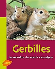 Gerbilles. connaître nourrir d'occasion  Livré partout en Belgiqu