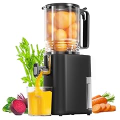 Cold press juicer for sale  Delivered anywhere in USA 