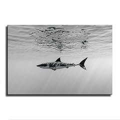 Black white shark for sale  Delivered anywhere in USA 