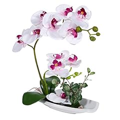 Renatuhom orchidée blanche d'occasion  Livré partout en France