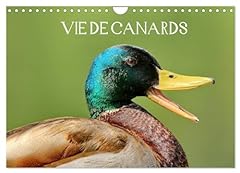 Vie canards d'occasion  Livré partout en Belgiqu