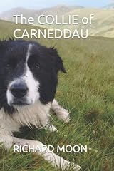 Collie carneddau for sale  Delivered anywhere in UK