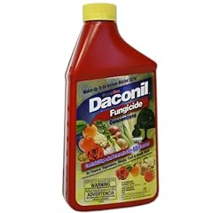 Daconil fungicide concentrate for sale  Delivered anywhere in USA 