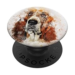 Basset hound dog for sale  Delivered anywhere in USA 