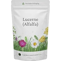 Lucerne alfalfa seeds for sale  Delivered anywhere in UK