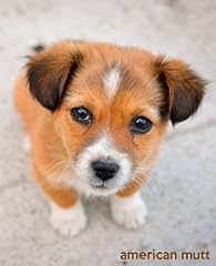 American mutt gift for sale  Delivered anywhere in USA 