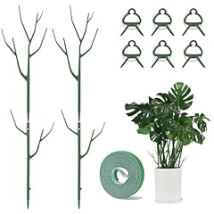 Yhtpouqe pack plant for sale  Delivered anywhere in USA 