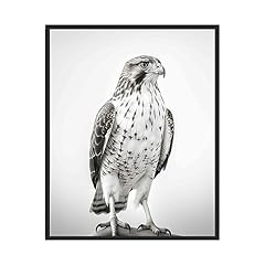 Hawk art prints for sale  Delivered anywhere in USA 