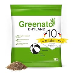 Semi prato greenato usato  Spedito ovunque in Italia 