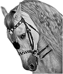 Briglia per cavallo usato  Spedito ovunque in Italia 