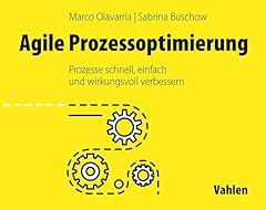 Agile prozessoptimierung proze gebraucht kaufen  Wird an jeden Ort in Deutschland