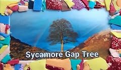 Sycamore gap tree for sale  Delivered anywhere in UK