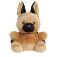 Aurora adorable palm for sale  Delivered anywhere in USA 