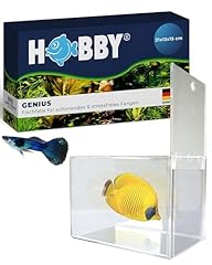 Hobby 61340 genius gebraucht kaufen  Wird an jeden Ort in Deutschland