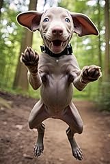 Weimaraner notebook funny for sale  Delivered anywhere in UK